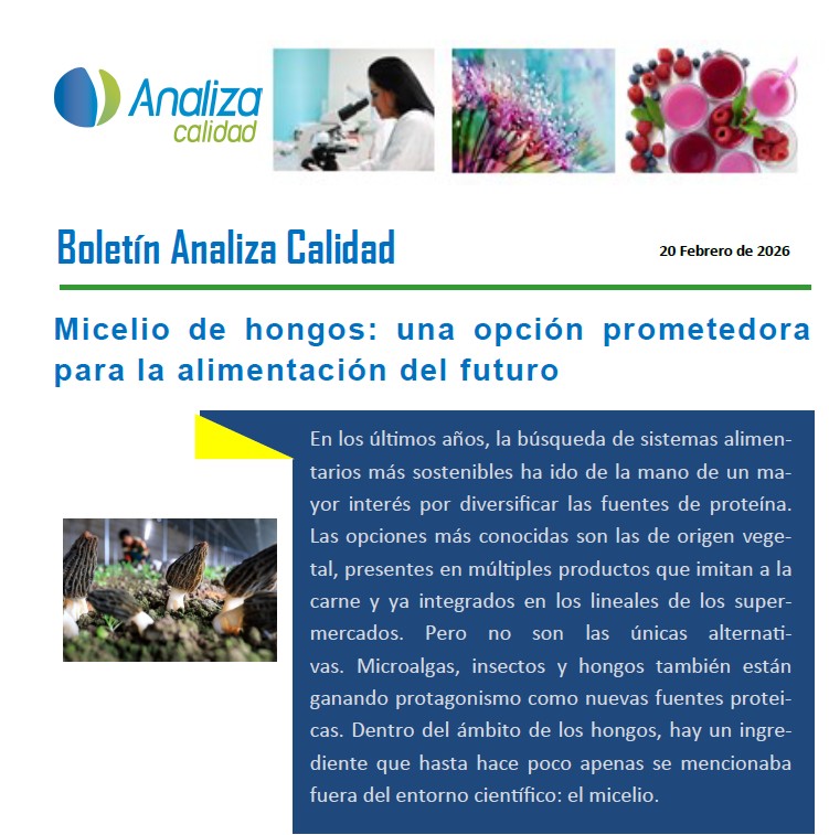 Boletin Analiza 20/02/2026